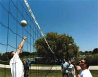 Students at the annual Phd barbeque participate in a game of volleyball