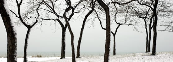 January