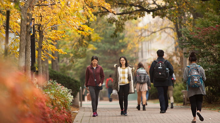 Students walk along a pathway at Northwestern on a fall day, underneath trees whose leaves are turning orange and red.