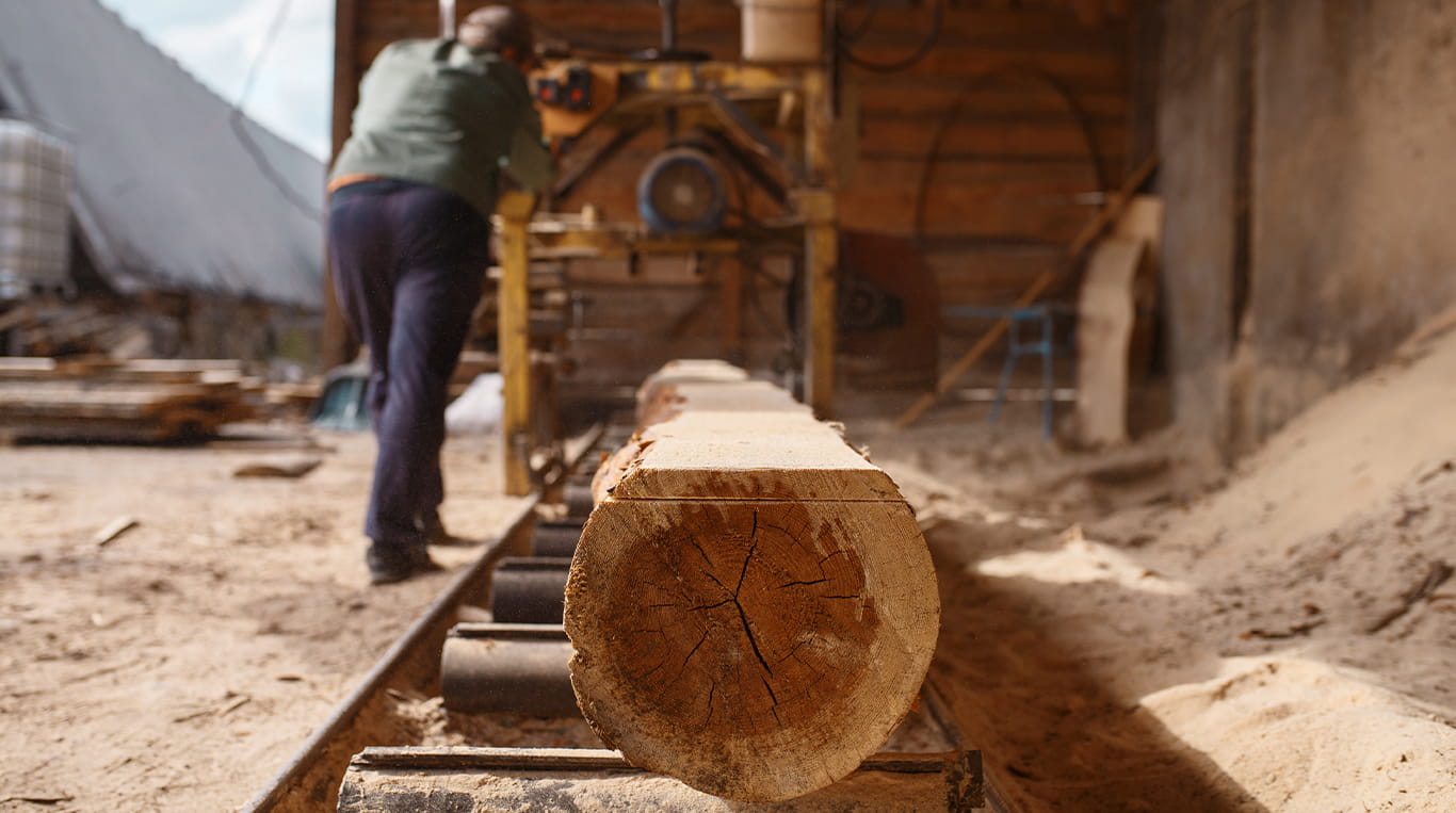 A person operates a sawmill machine, preparing to cut a large log in a rustic, wood-filled workspace. The end grain of the log is prominently displayed in the foreground, showcasing its natural texture. Sawdust covers the ground, adding to the atmosphere of active woodworking.