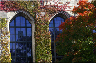 deering library windows