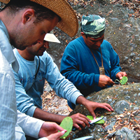 Kellogg students preparing cactus